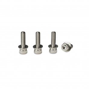 Camber Kit Bolts