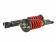 PRO-ST Coilover, 00-09 S2000